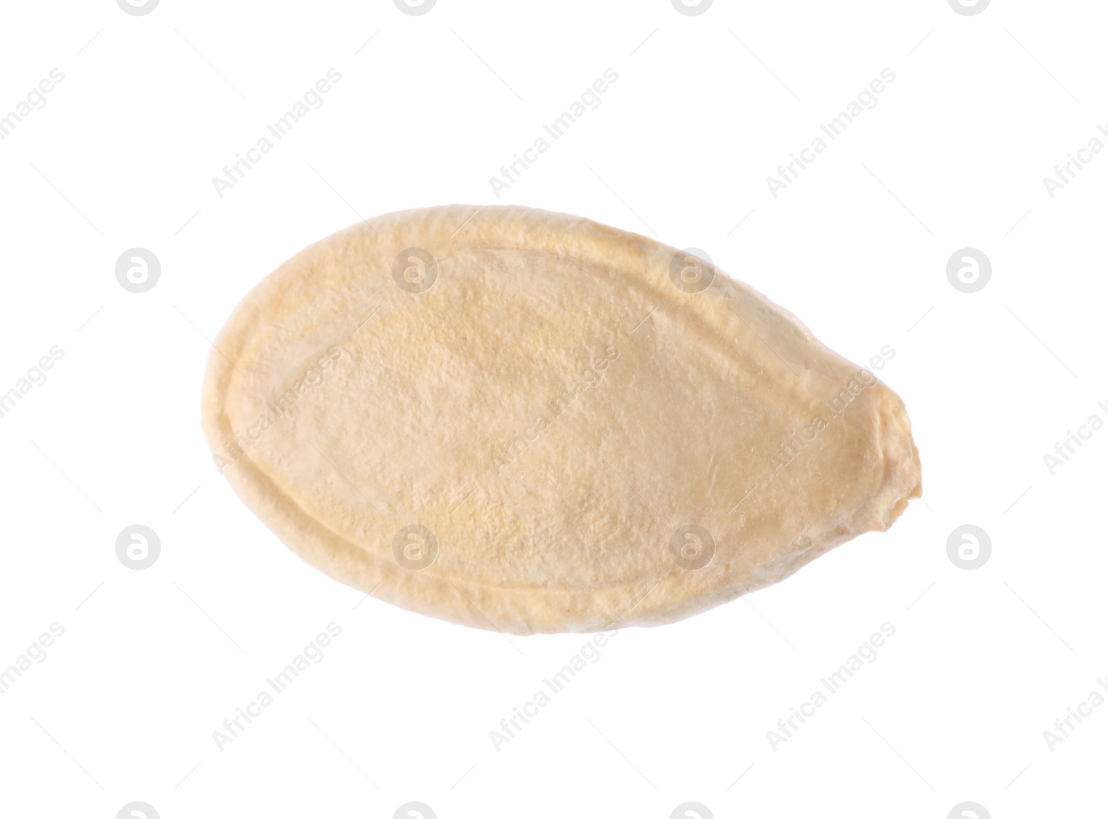 Photo of One dried pumpkin seed isolated on white