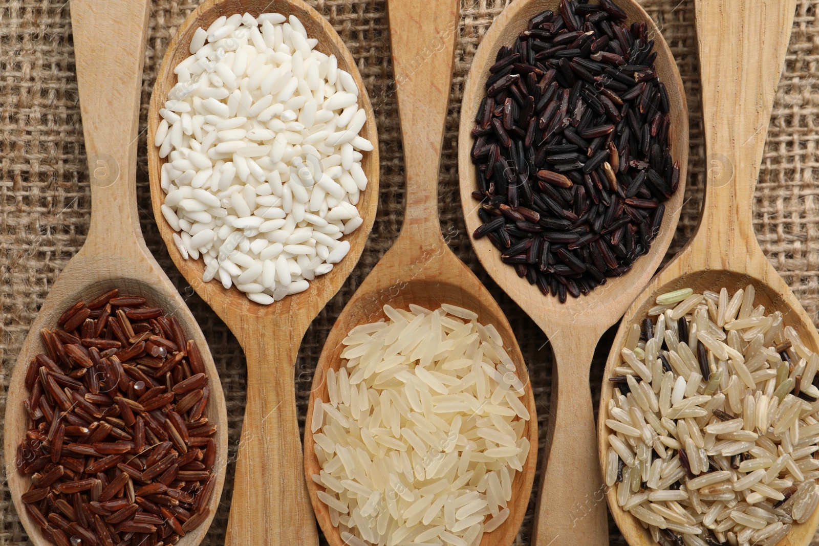 Photo of Spoons with different sorts of rice on burlap fabric, flat lay