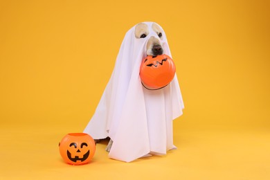 Cute Labrador Retriever dog wearing ghost costume with Halloween buckets on orange background