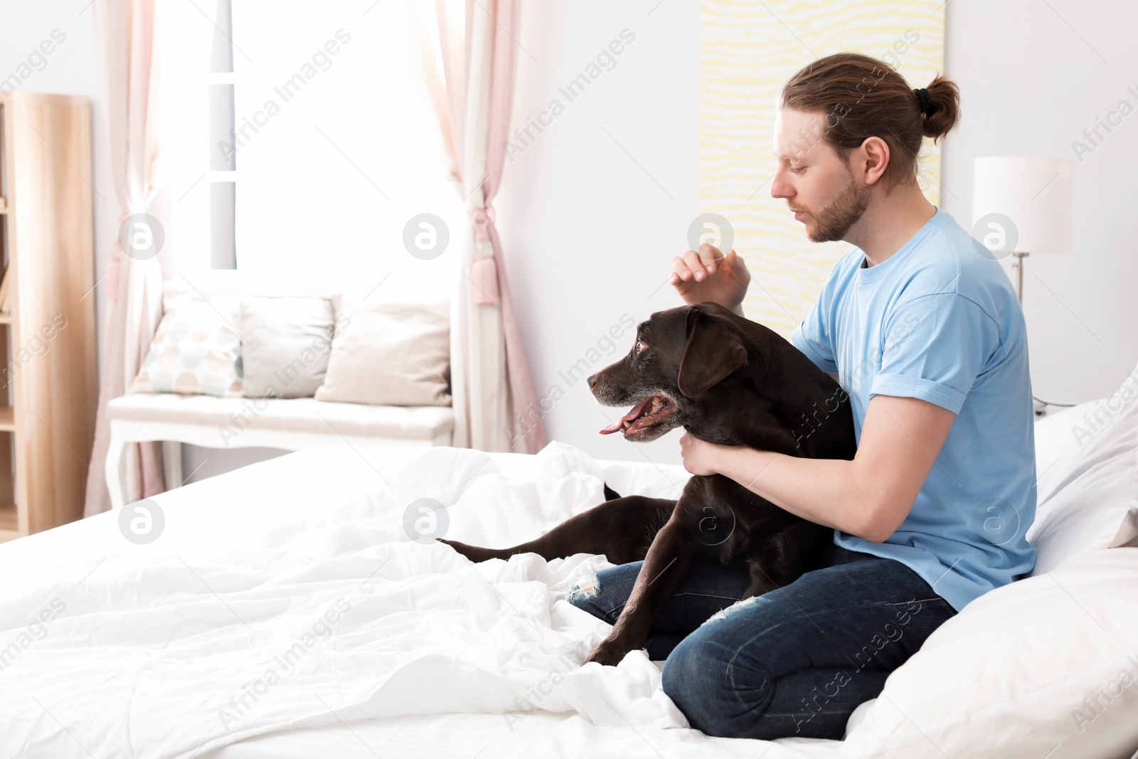 Photo of Adorable brown labrador retriever with owner on bed indoors