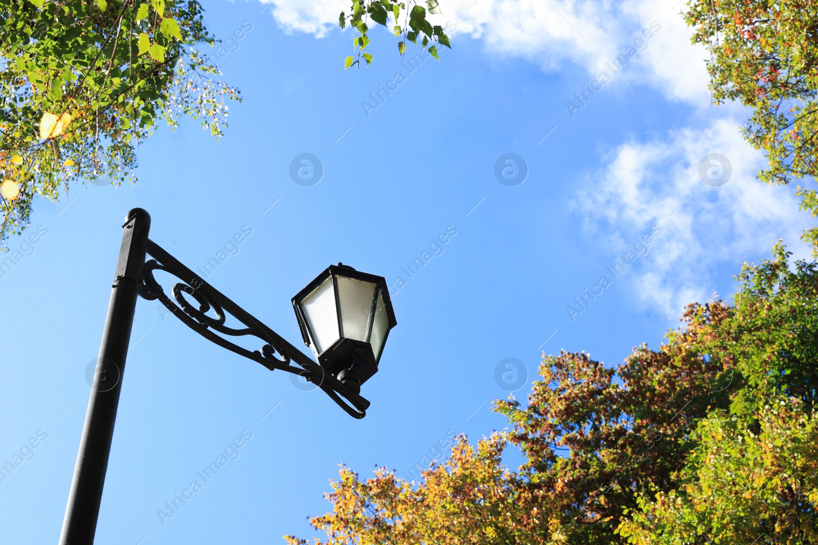 Photo of Beautiful trees with bright autumn leaves and street lamp under blue sky outdoors, low angle view