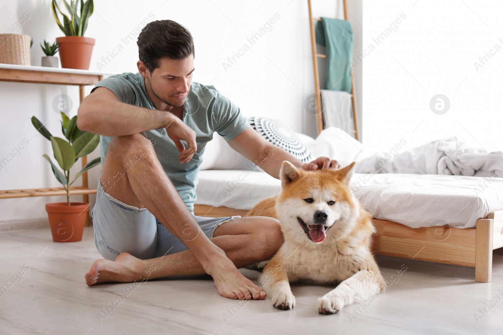 Photo of Man and Akita Inu dog in bedroom decorated with houseplants