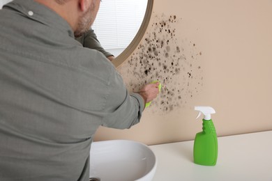 Image of Man using mold remover and brush on wall in bathroom