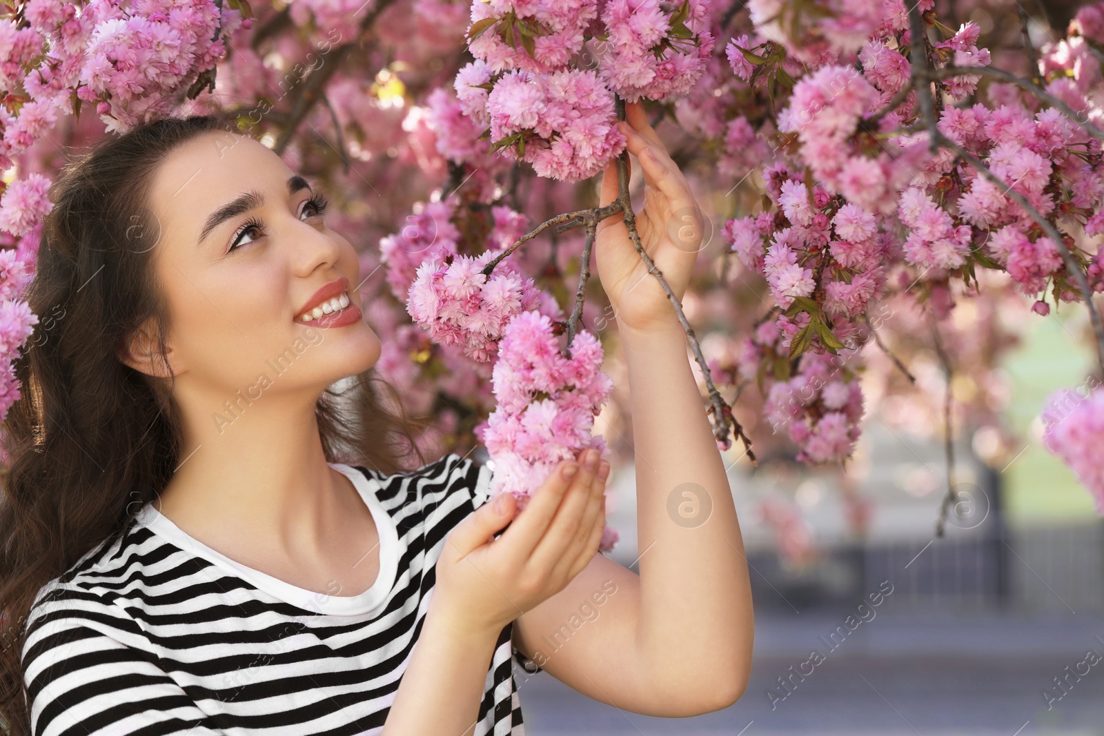 Photo of Beautiful woman near blossoming sakura tree on spring day