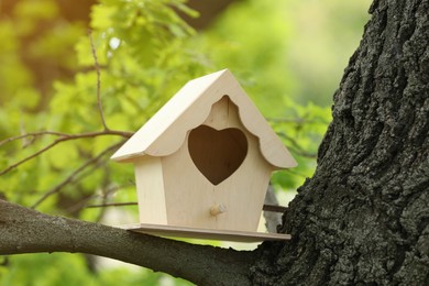 Photo of Wooden bird house on tree branch outdoors