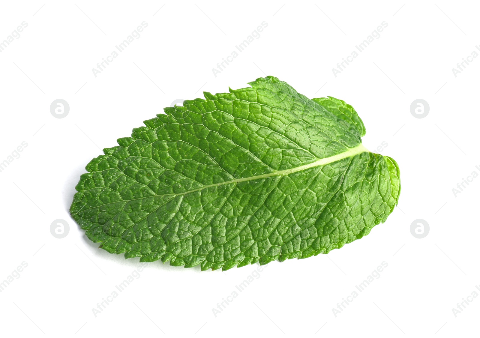 Photo of Fresh green mint leaf on white background