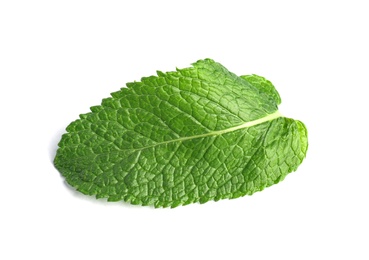 Photo of Fresh green mint leaf on white background