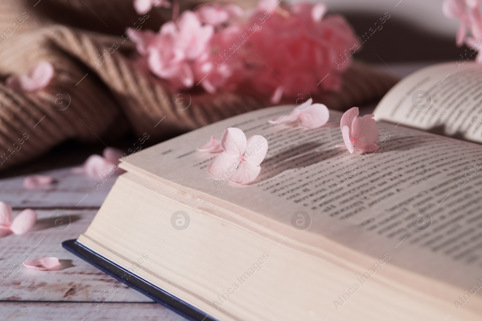 Photo of Beautiful hortensia flowers and book on white wooden table, closeup
