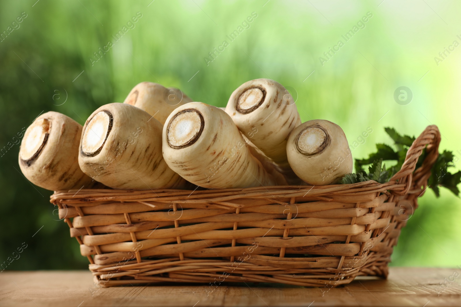 Photo of Wicker basket with delicious fresh ripe parsnips on wooden table outdoors