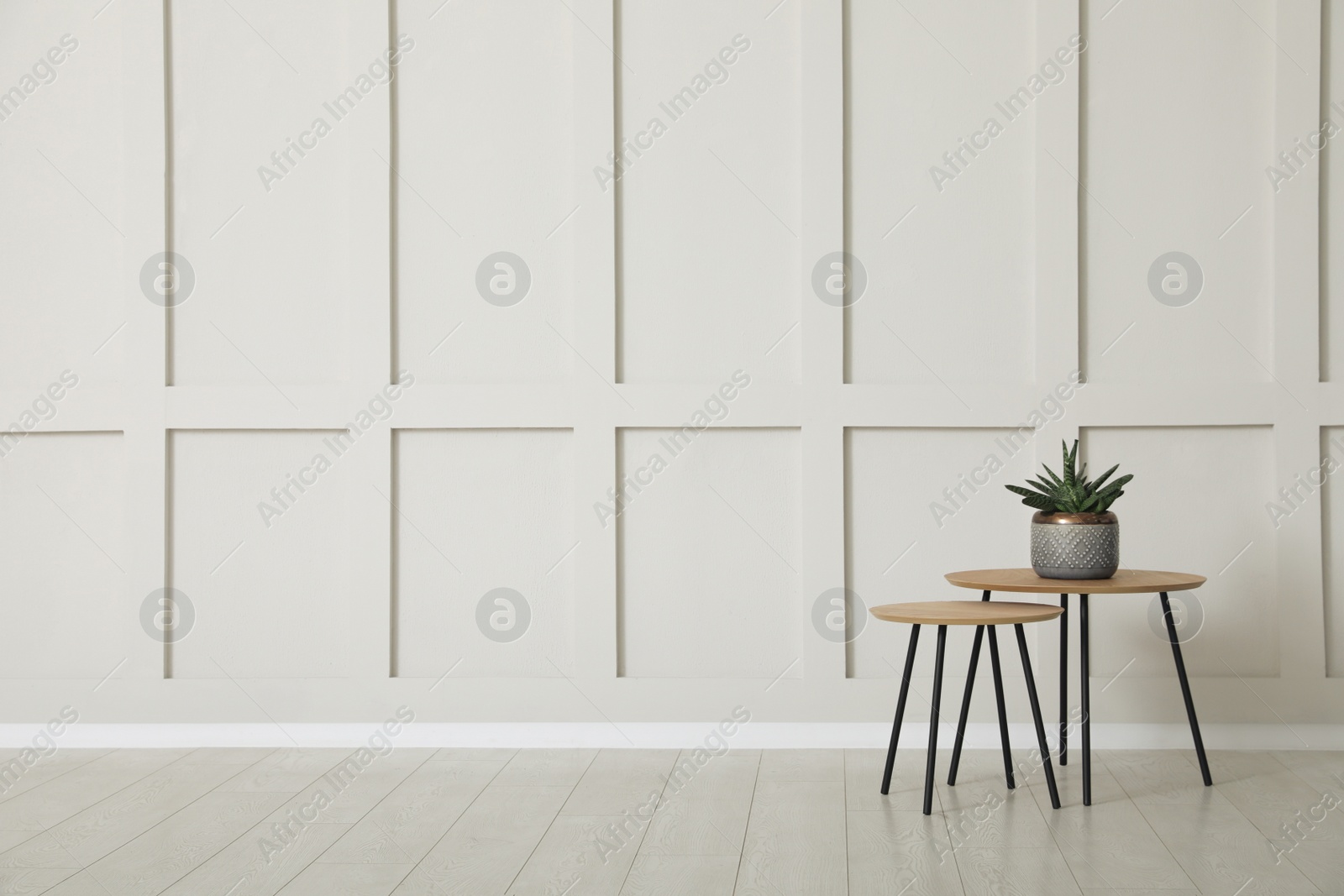 Photo of Tables with potted houseplant near empty wall indoors. Space for design