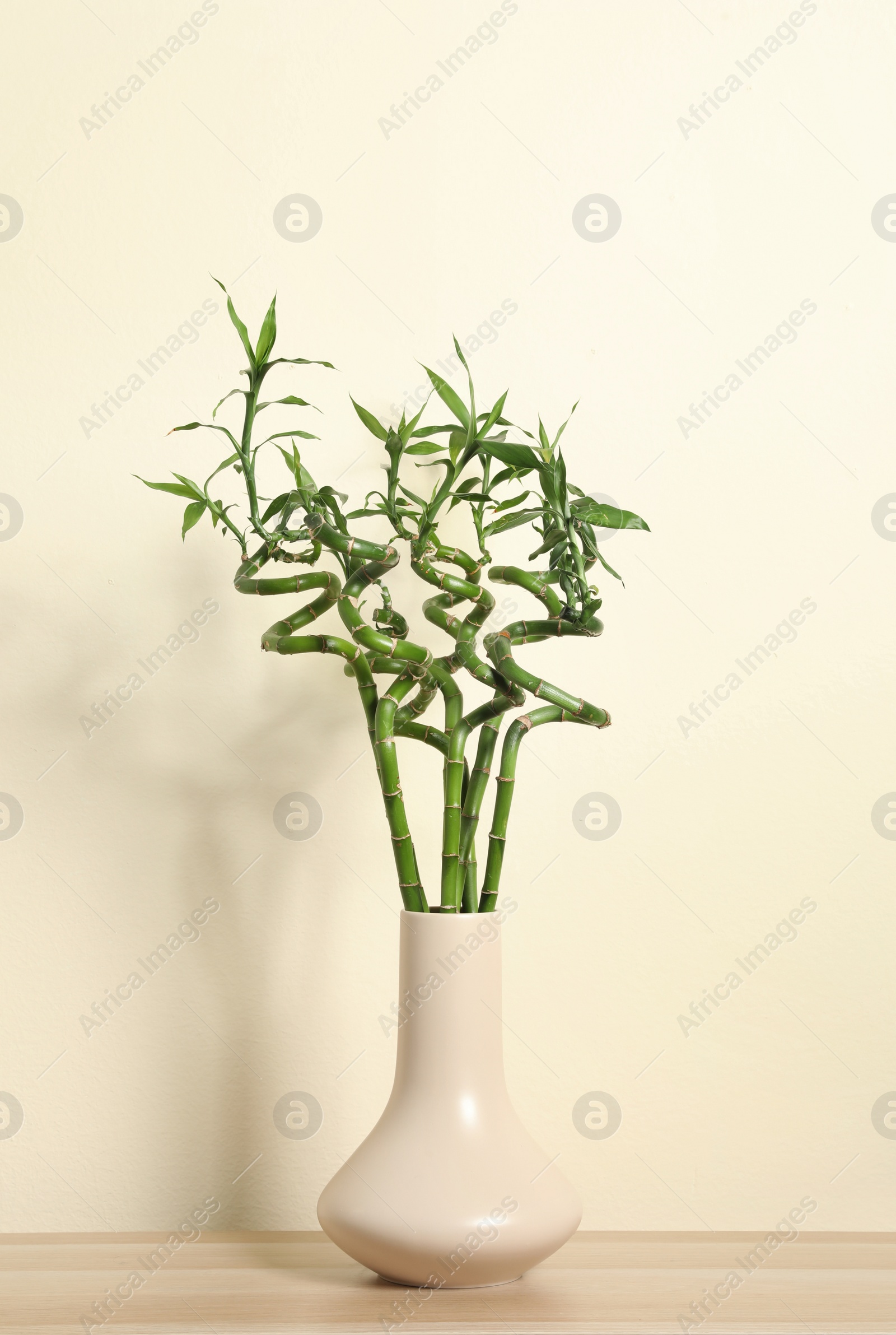 Photo of Vase with bamboo stems on wooden table against beige wall