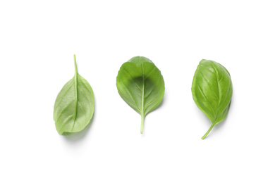 Fresh green basil leaves on white background, top view