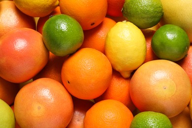 Different fresh citrus fruits as background, top view