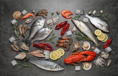 Fresh fish and seafood on grey table, flat lay