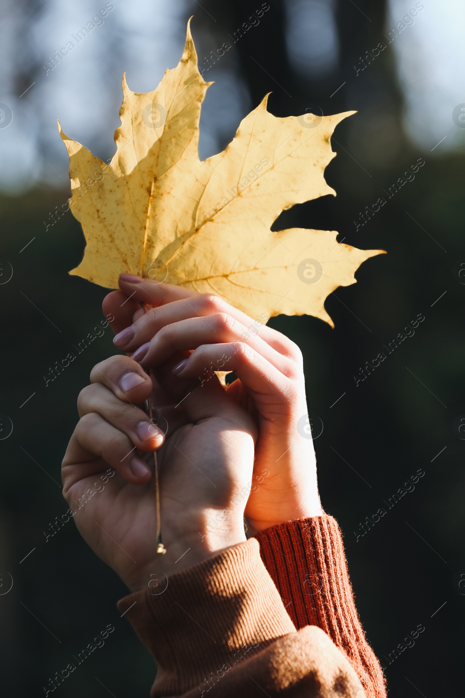 Photo of Happy young couple holding dry leaf outdoors, closeup. Dating agency