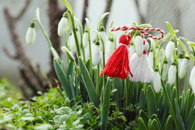 Traditional martisor and beautiful snowdrops outdoors. Symbol of first spring day