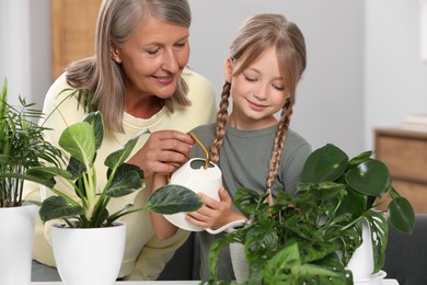 Grandmother with her granddaughter watering houseplants together at home