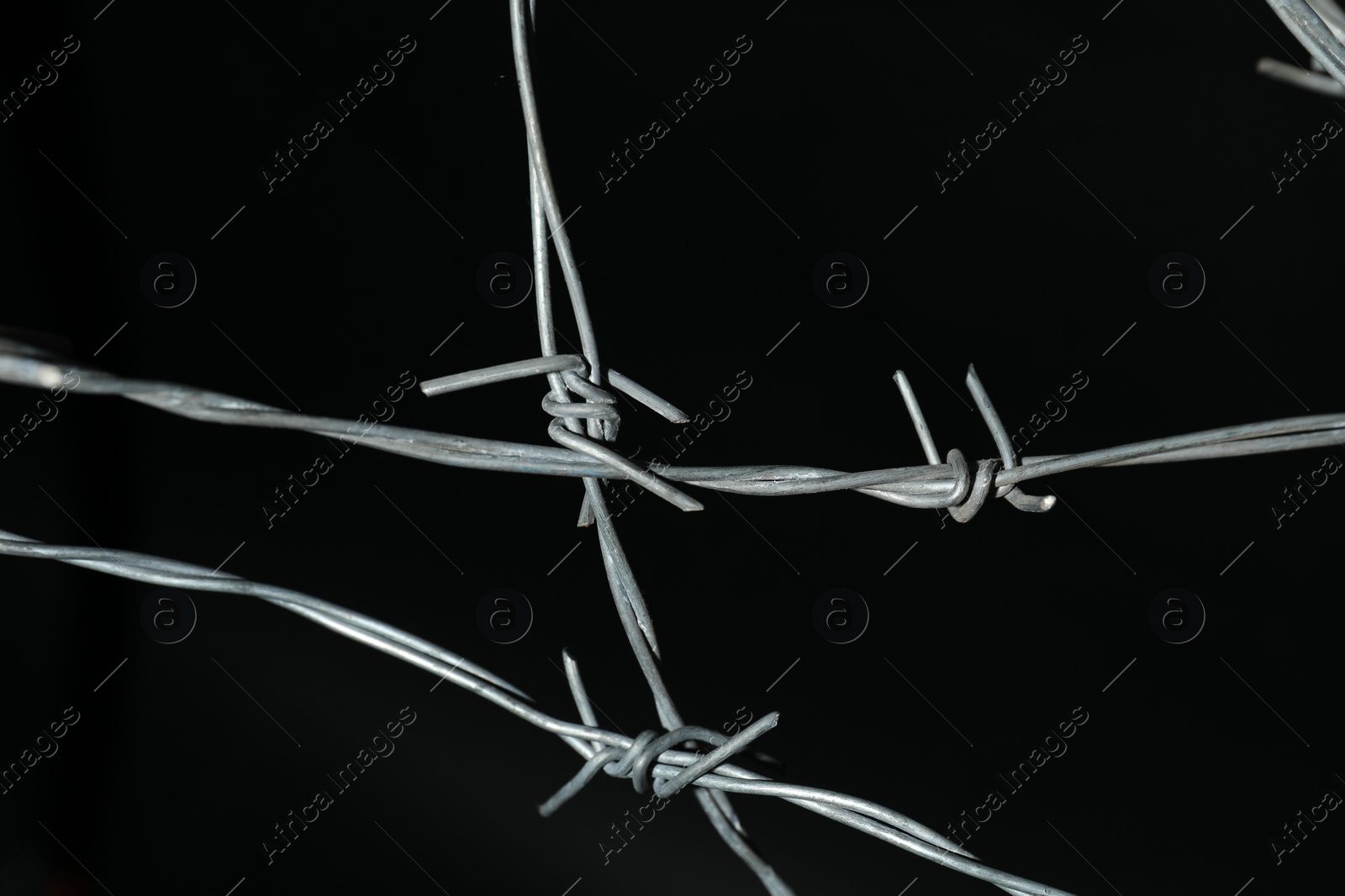 Photo of Metal barbed wire on black background, closeup