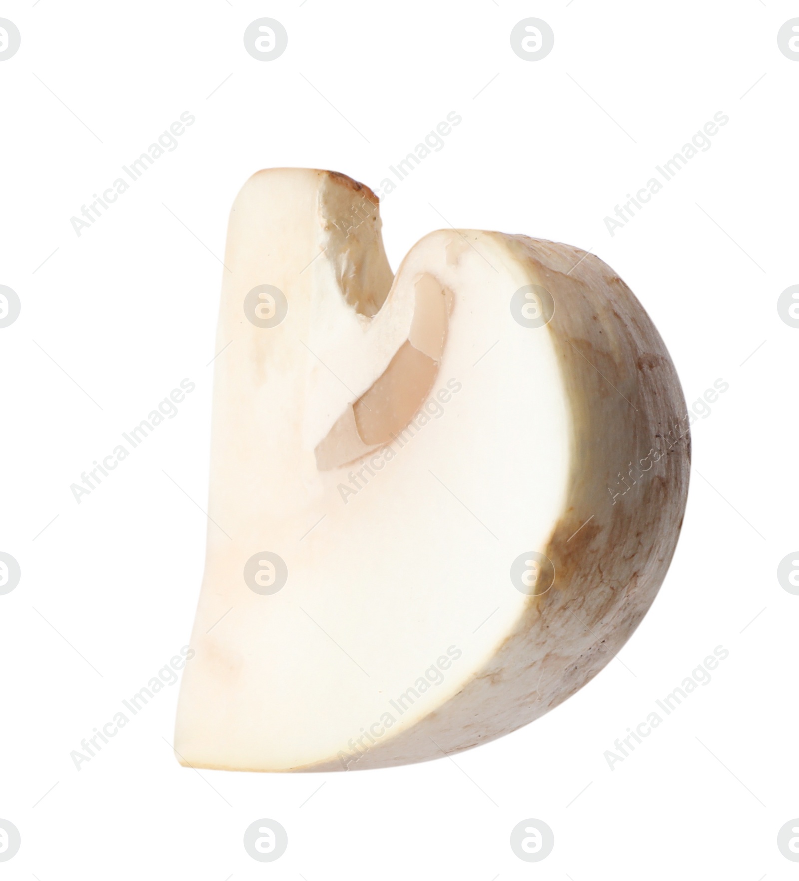 Photo of Piece of fresh mushroom on white background