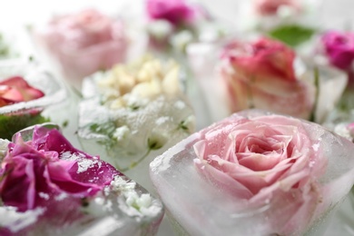 Photo of Ice cubes with flowers on table, closeup