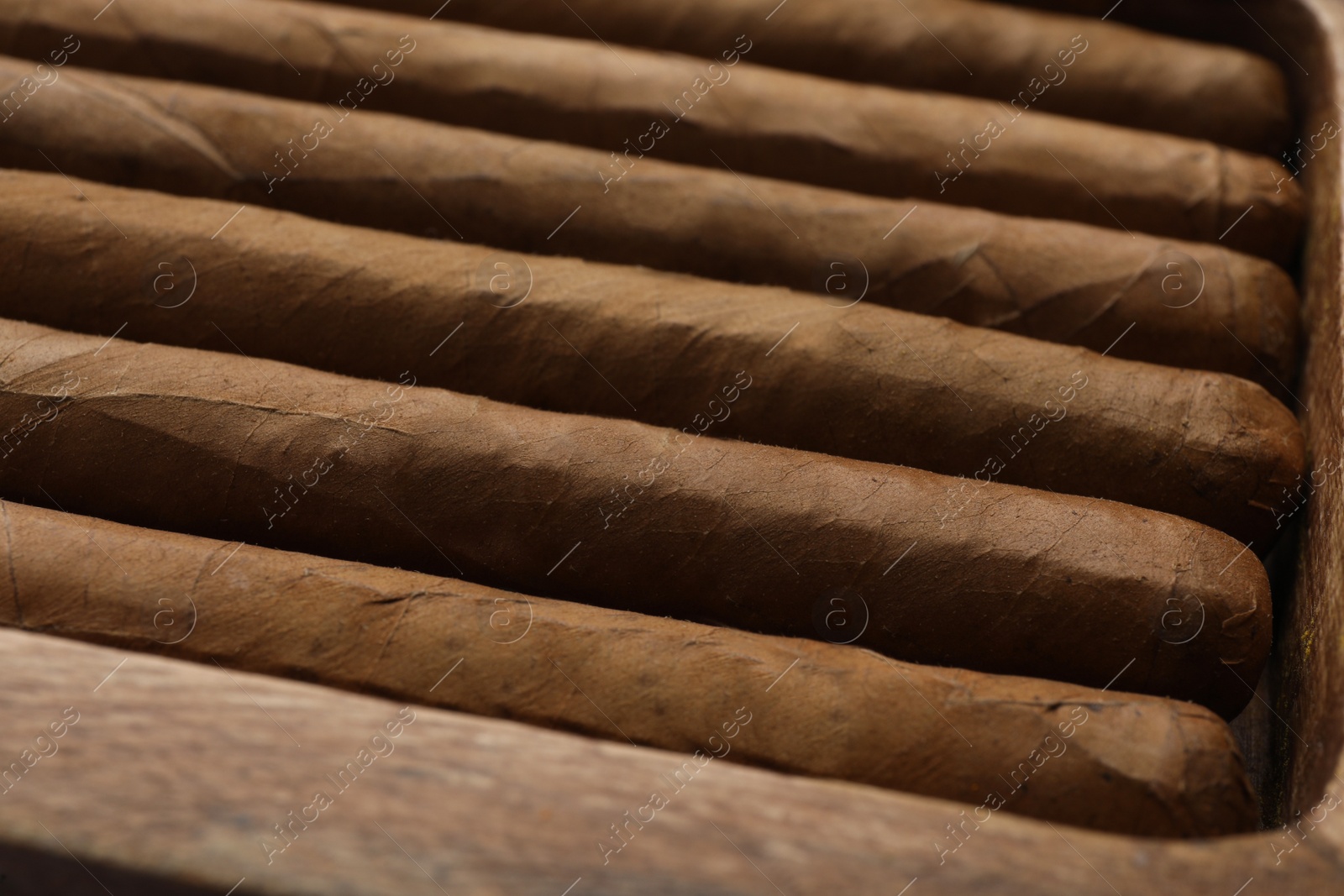 Photo of Closeup view of many cigars as background