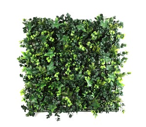 Green artificial plants with lush leaves isolated on white