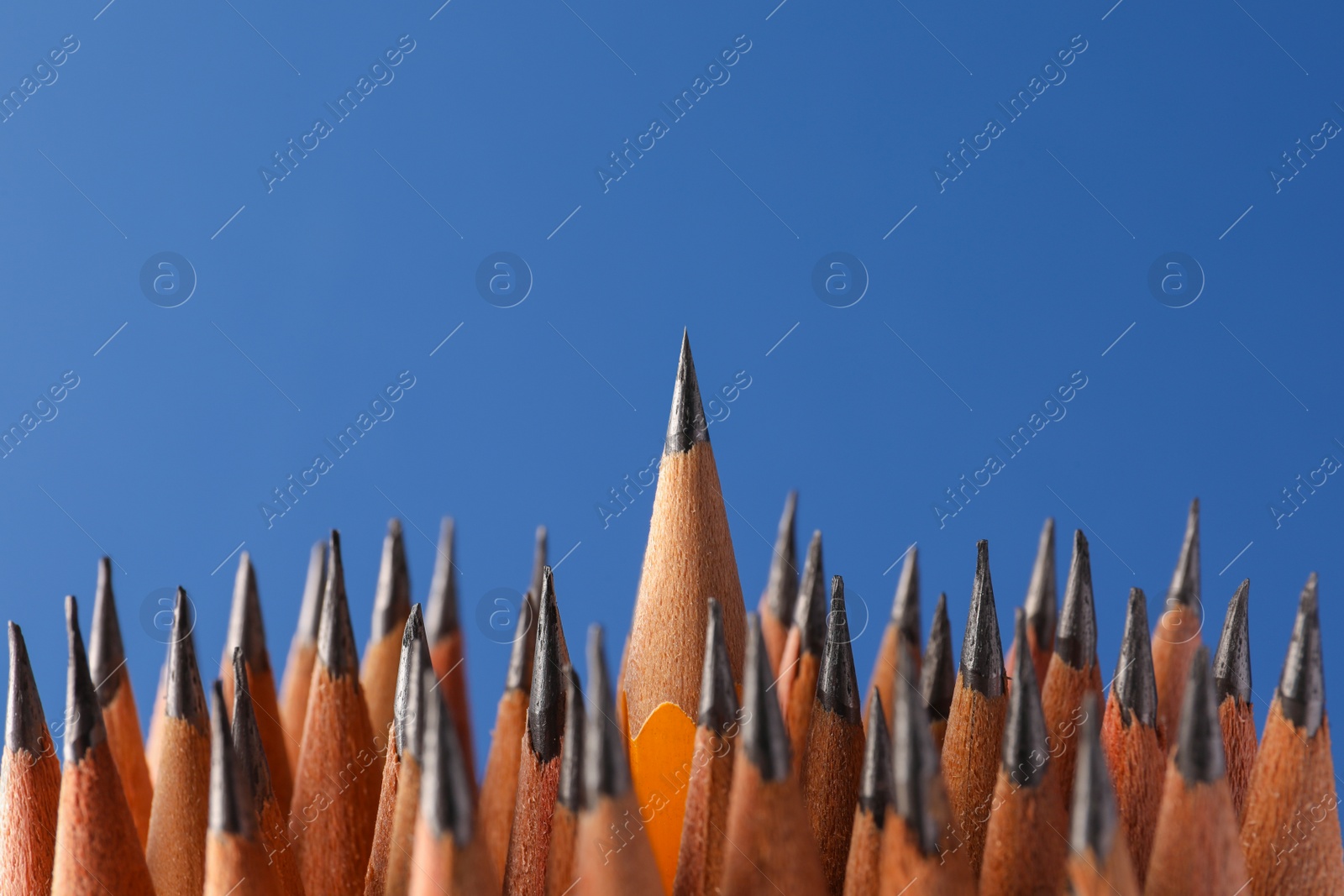 Photo of Sharp graphite pencils on blue background, closeup