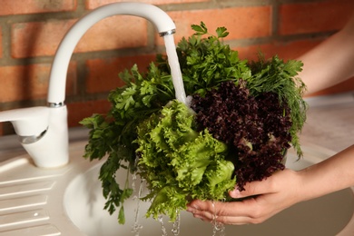 Photo of Woman washing fresh lettuce, parsley and dill in kitchen sink, closeup