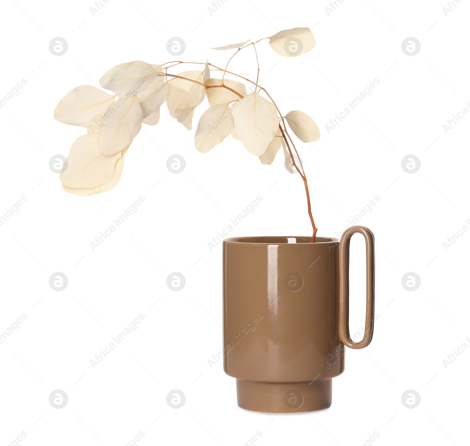 Photo of Stylish ceramic vase with dry leaves on white background