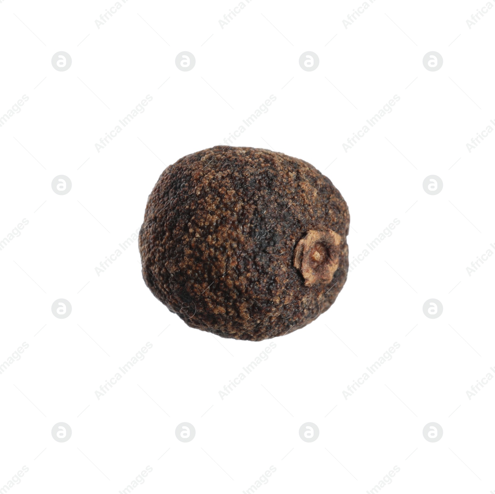 Photo of One aromatic allspice peppercorn isolated on white