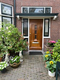 Beautiful potted flowers near entrance of house