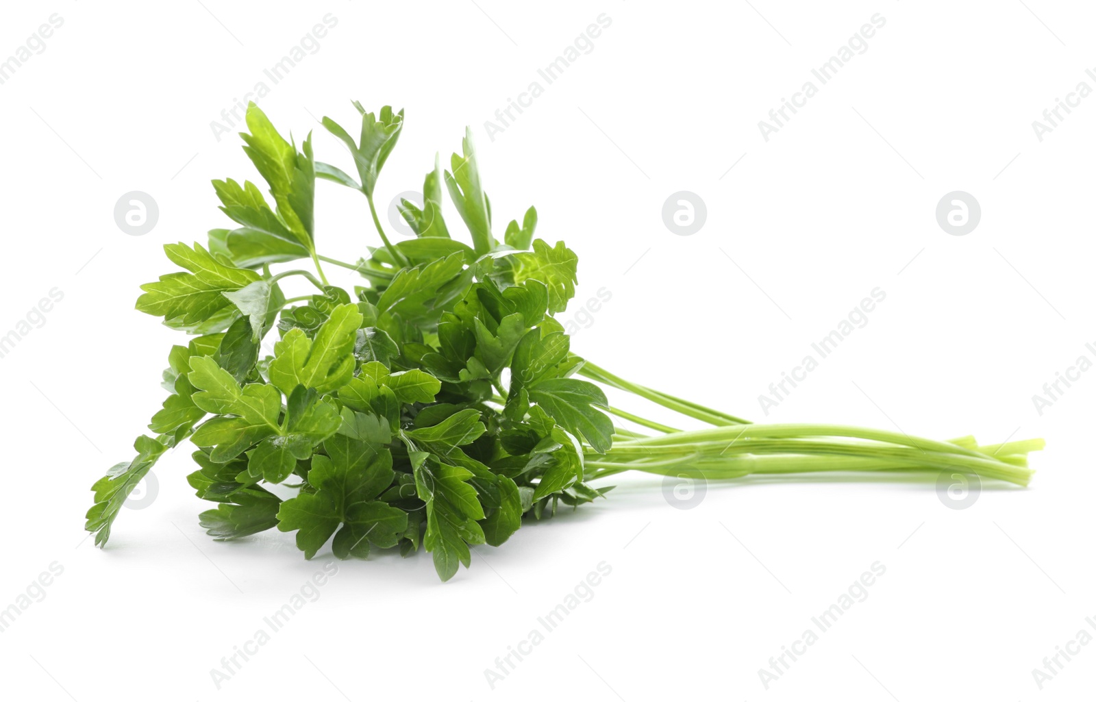 Photo of Fresh green parsley on white background