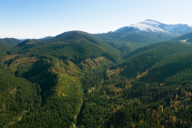 Image of Beautiful mountains covered with forest on sunny day. Drone photography