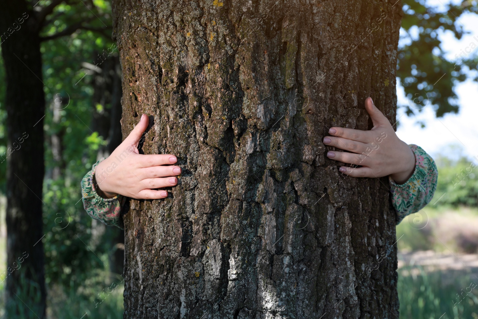 Photo of Woman hugging tree trunk in forest on sunny day