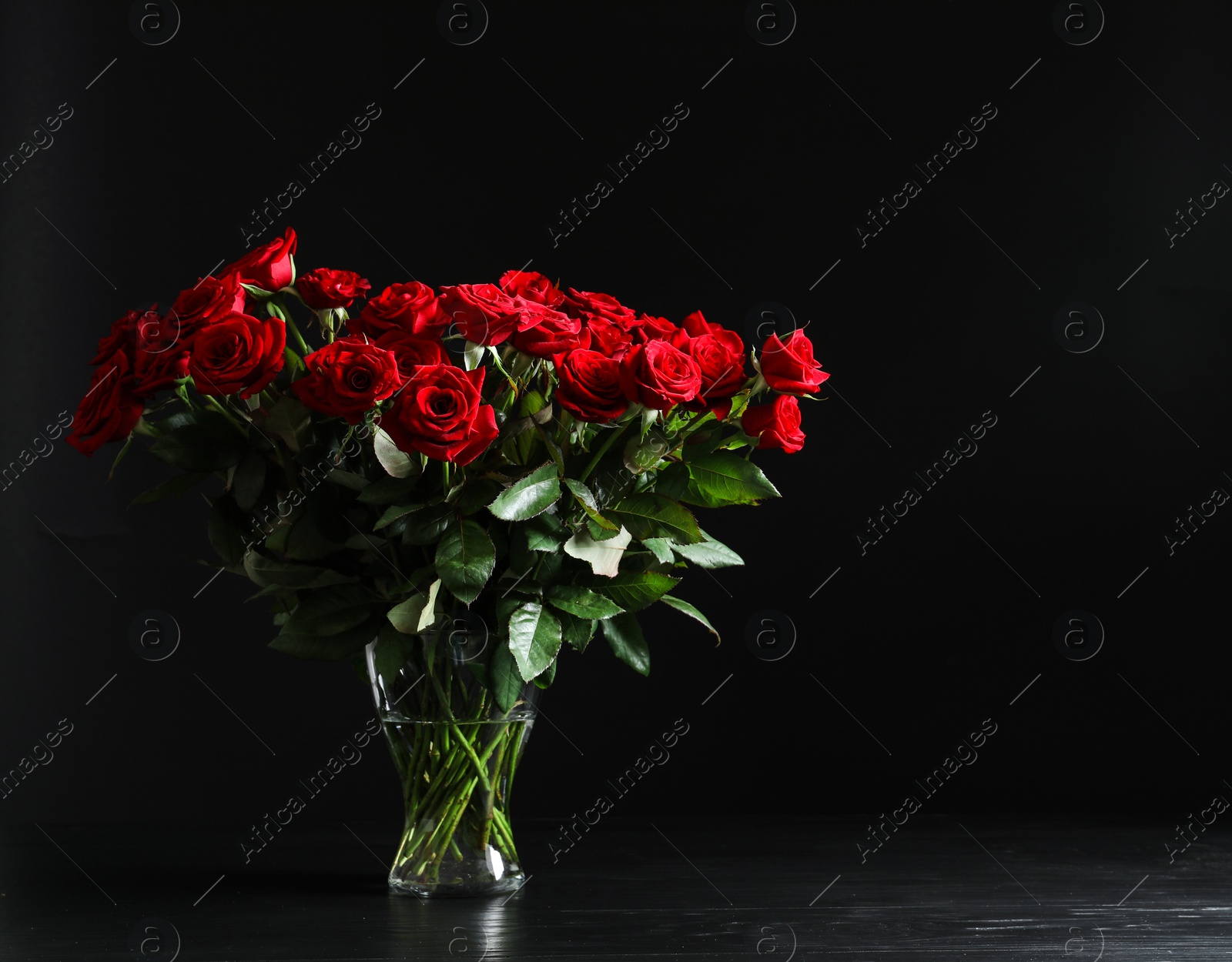 Photo of Vase with beautiful red rose flowers on black background