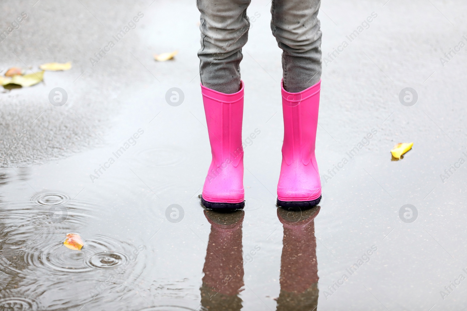 Photo of Little girl wearing rubber boots standing in puddle on rainy day, focus of legs. Autumn walk