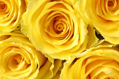 Beautiful bouquet of yellow roses as background, top view