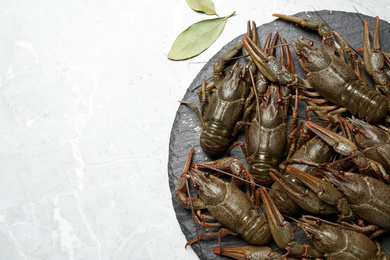 Photo of Fresh raw crayfishes and bay leaves on grey marble table, flat lay. Space for text