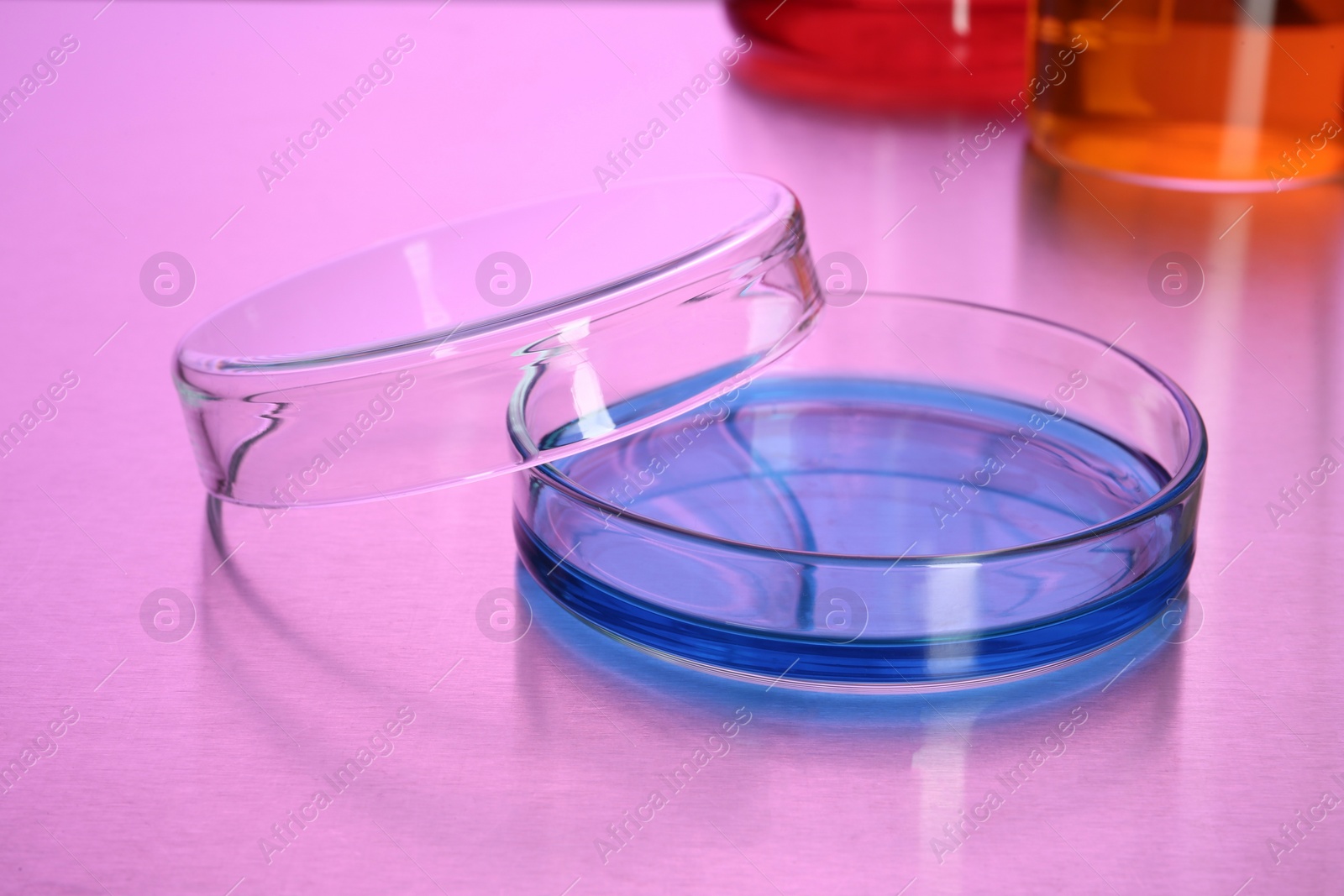 Photo of Petri dish with blue liquid on table, toned in pink