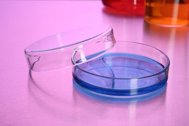 Petri dish with blue liquid on table, toned in pink
