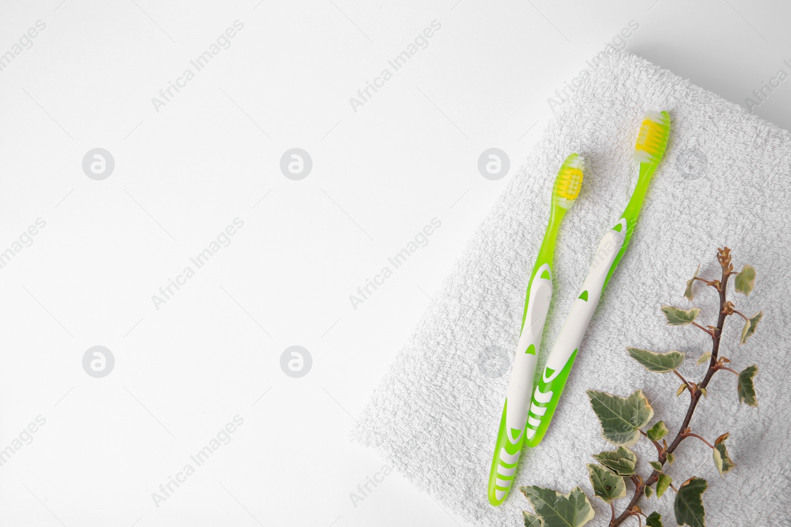 Photo of Light green toothbrushes, terry towel and ivy on white background, top view. Space for text