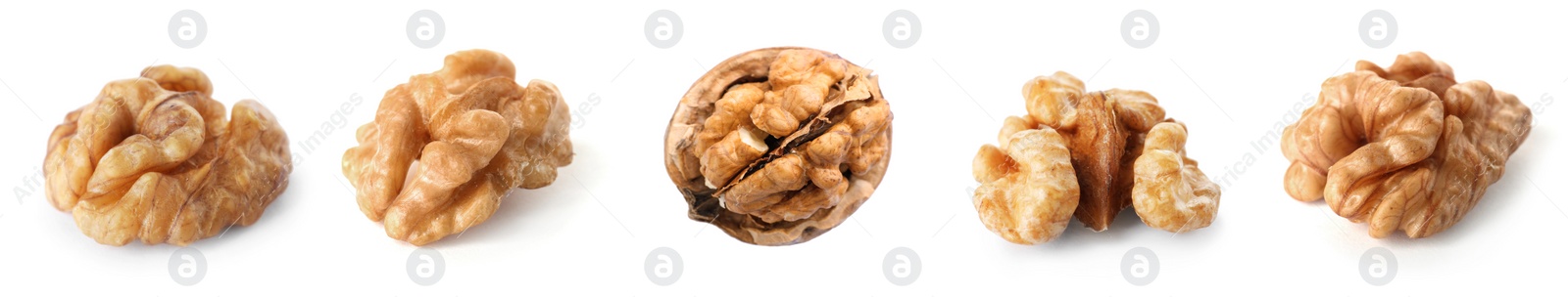 Image of Set with tasty walnuts on white background. Banner design