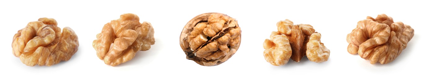 Image of Set with tasty walnuts on white background. Banner design