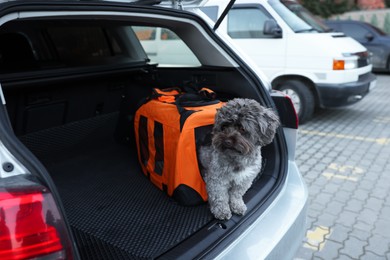 Photo of Cute dog in pet carrier travelling by car. Safe transportation