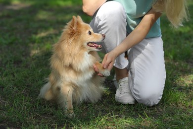 Photo of Young woman with her cute dog in park, closeup