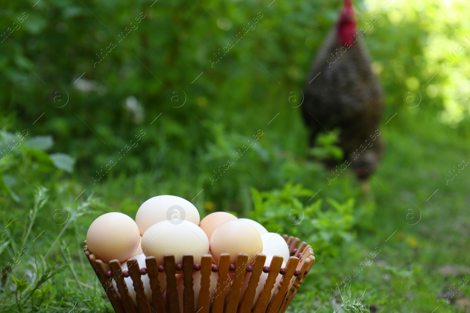 Photo of Fresh raw eggs in wooden bowl outdoors. Space for text