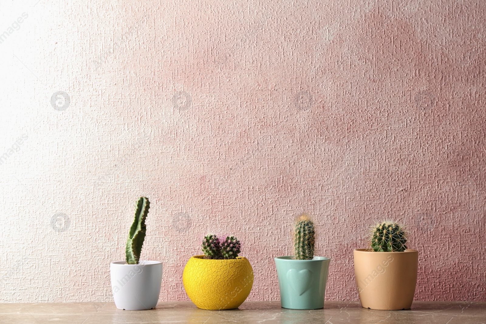 Photo of Different potted cacti on table near color background, space for text. Interior decor