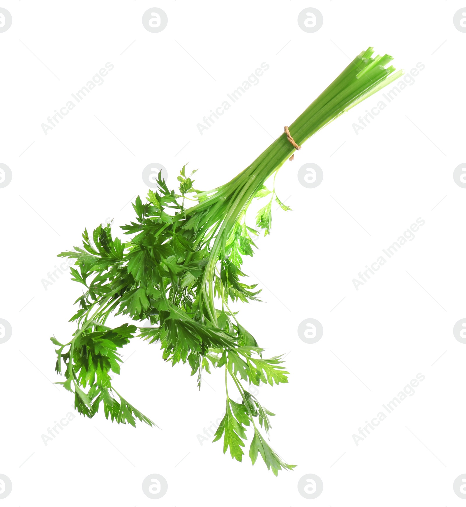 Photo of Bunch of fresh green parsley on white background