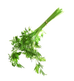 Photo of Bunch of fresh green parsley on white background