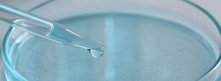 Dripping liquid from pipette into petri dish, closeup. Laboratory analysis